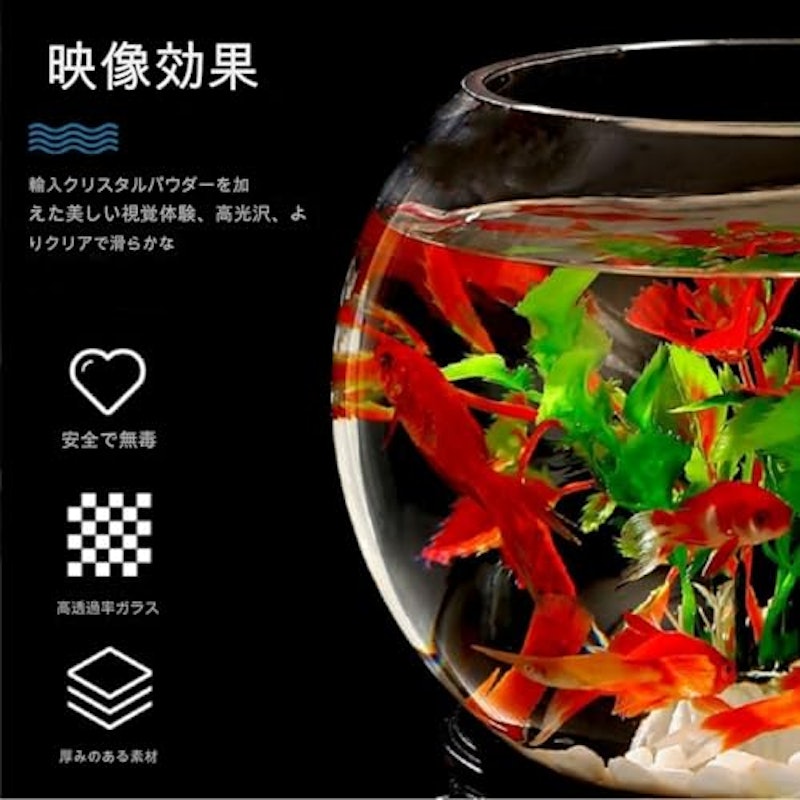 金魚鉢 5