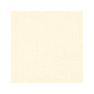 水可溶性油絵具 デュオ 2