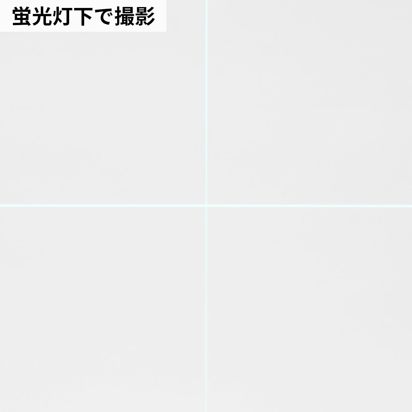 ジンバルTYZ 乾電池専用 8