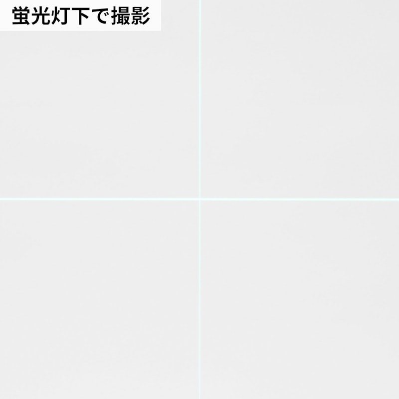 ジンバルTYZ 乾電池専用 8