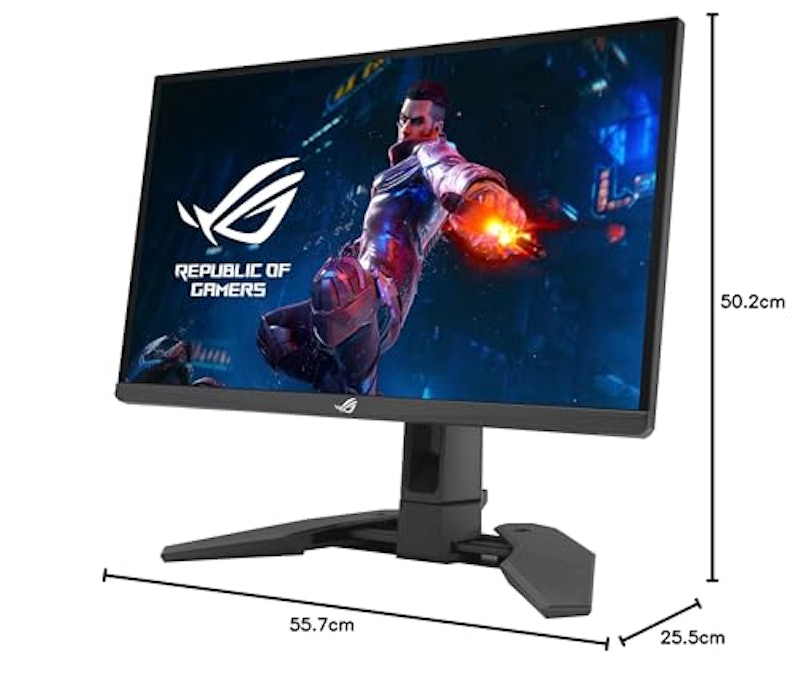 Swift Pro PG248QP 8