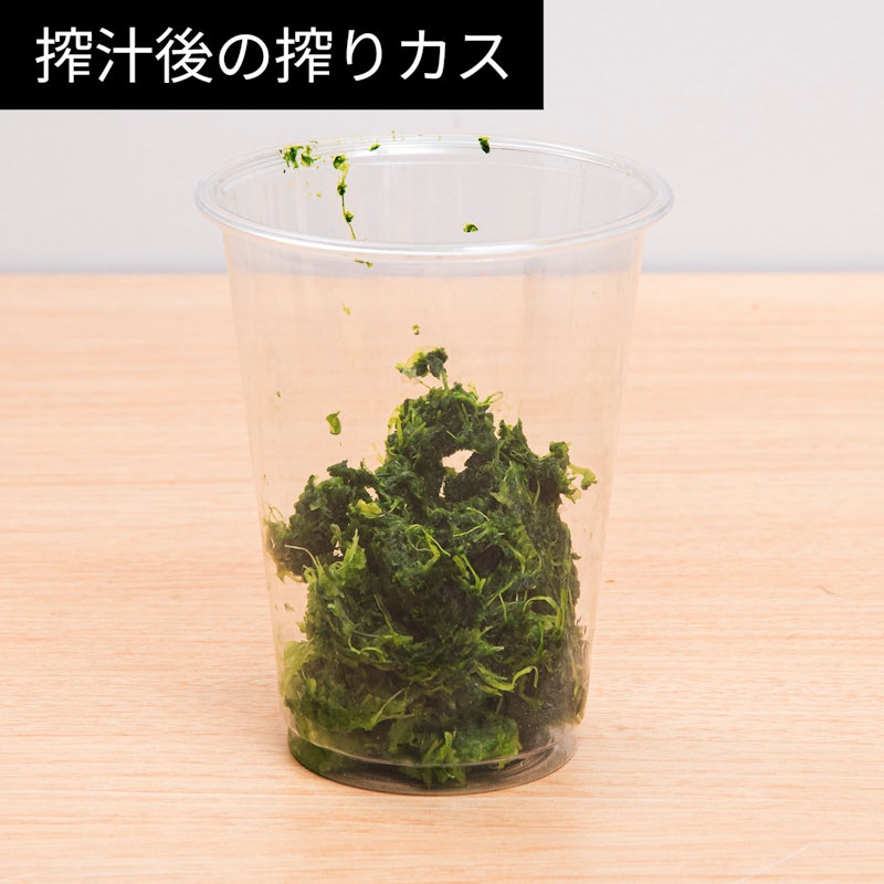 ハンズフリースロージューサー AUTO6 13
