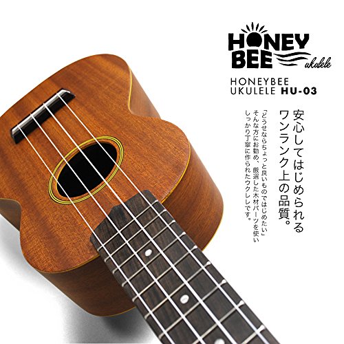 HONEY BEE アコースティックギター サンバーストと年代物ウクレレ
