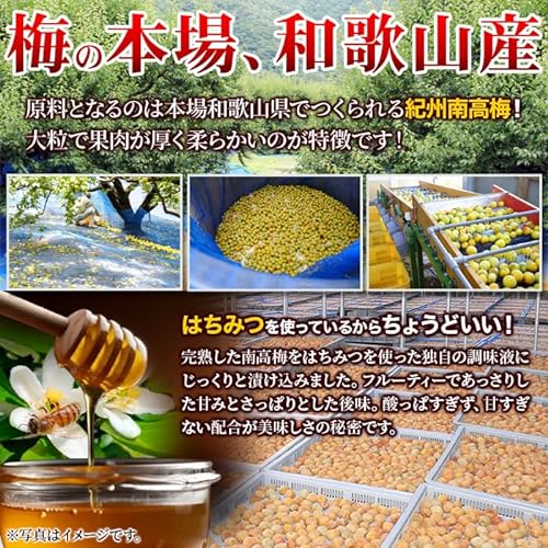 紀州はちみつ南高梅干し 5