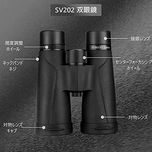 双眼鏡 6
