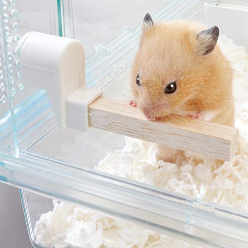 22年 かじり木のおすすめ人気ランキング35選 ハムスター うさぎ デグーにも Mybest 22年 かじり木のおすすめ人気ランキング35選 ハムスター うさぎ デグーにも Mybest