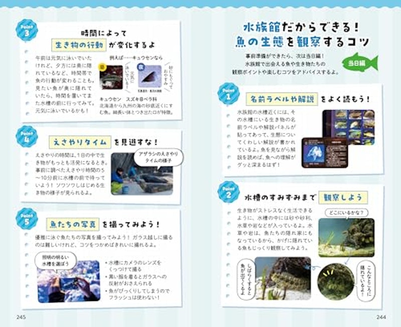 出会った魚がわかる図鑑 11