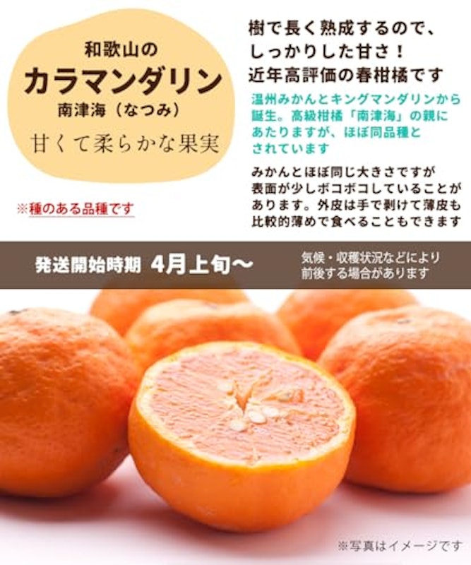 訳あり カラマンダリン 4