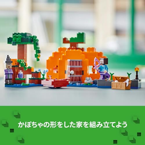 かぼちゃ畑 5