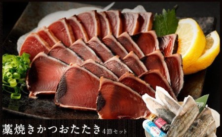 定期便3回 海からの贈り物 4