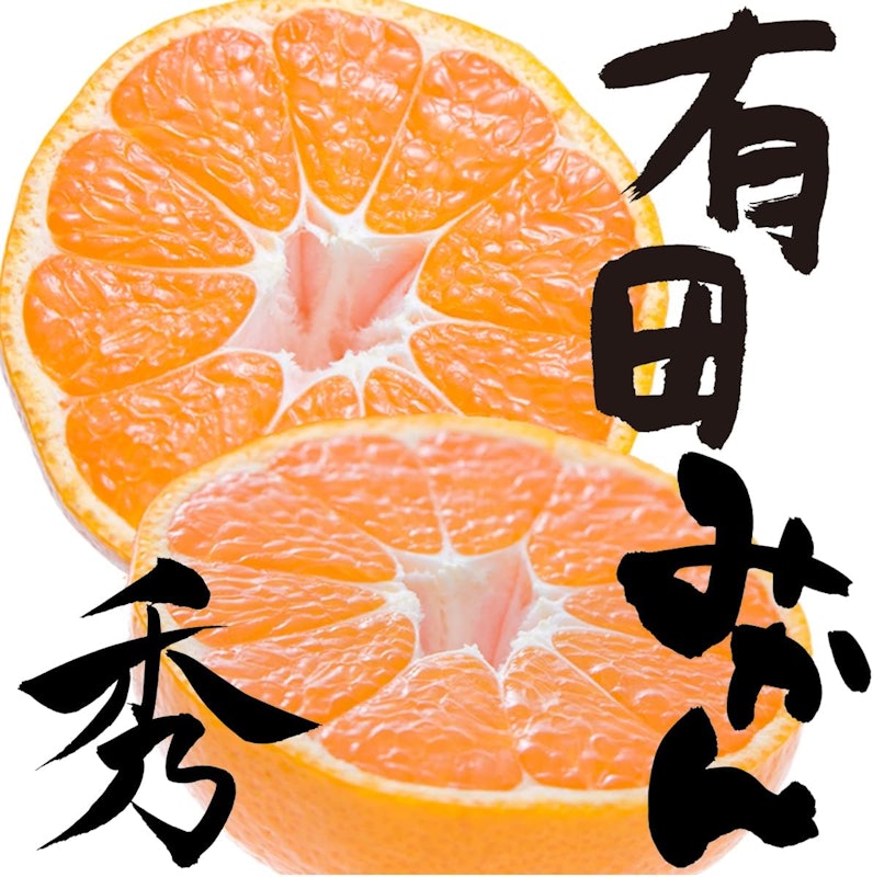 有田みかん 秀品 1