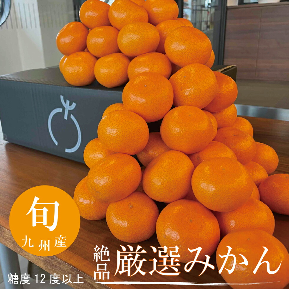 みかん！　ブラーミン　BRAHAMIN おしゃれ高級ベスト　5万円 みかん！ ブラーミン BRAHAMIN おしゃれ高級ベスト 5万円 みかん