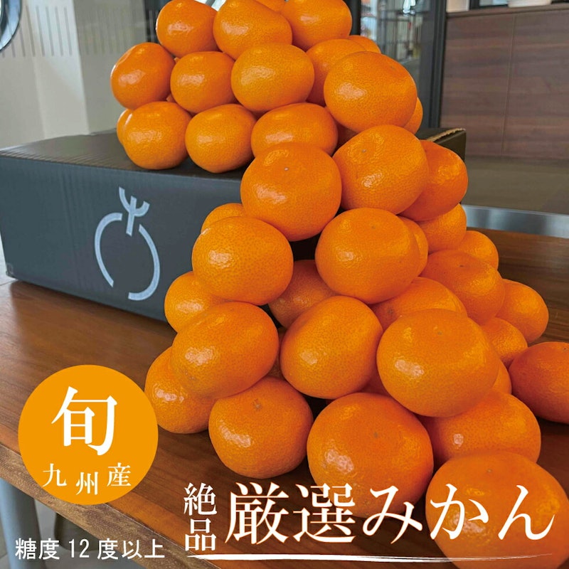 厳選みかん 1