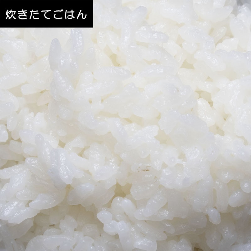 マイコン式炊飯器 11