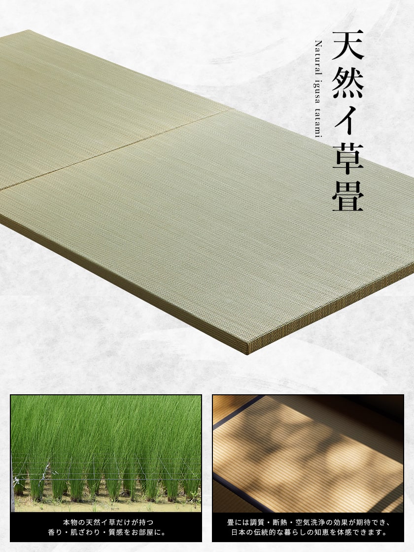 畳ステージベッド 3