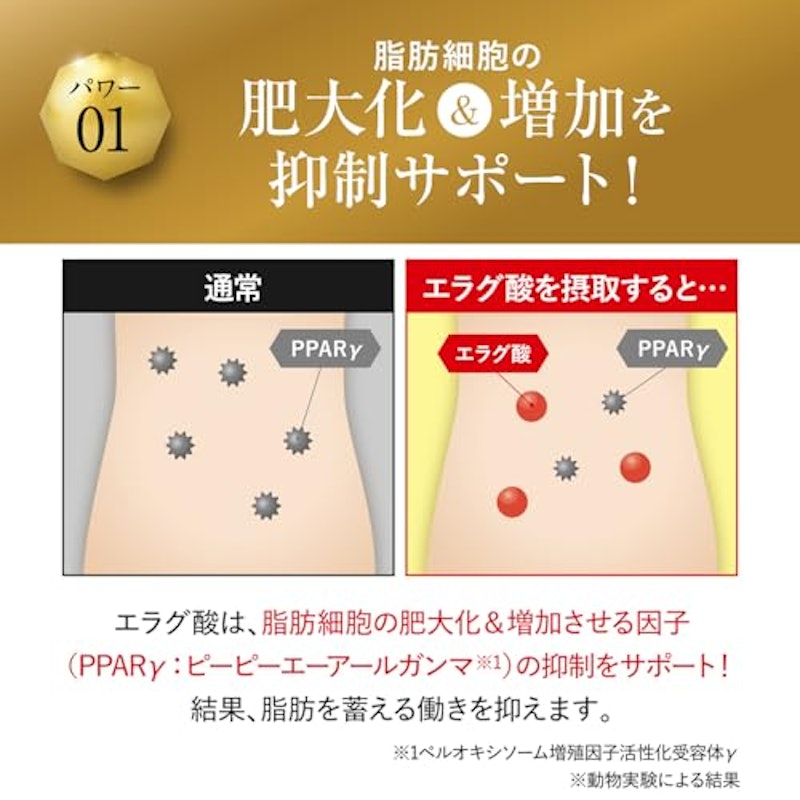 キラーバーナー Ⅱ 4