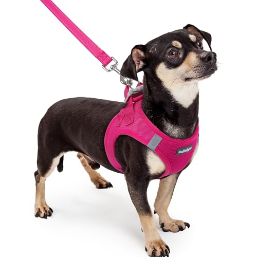 犬ハーネス リードセット 1