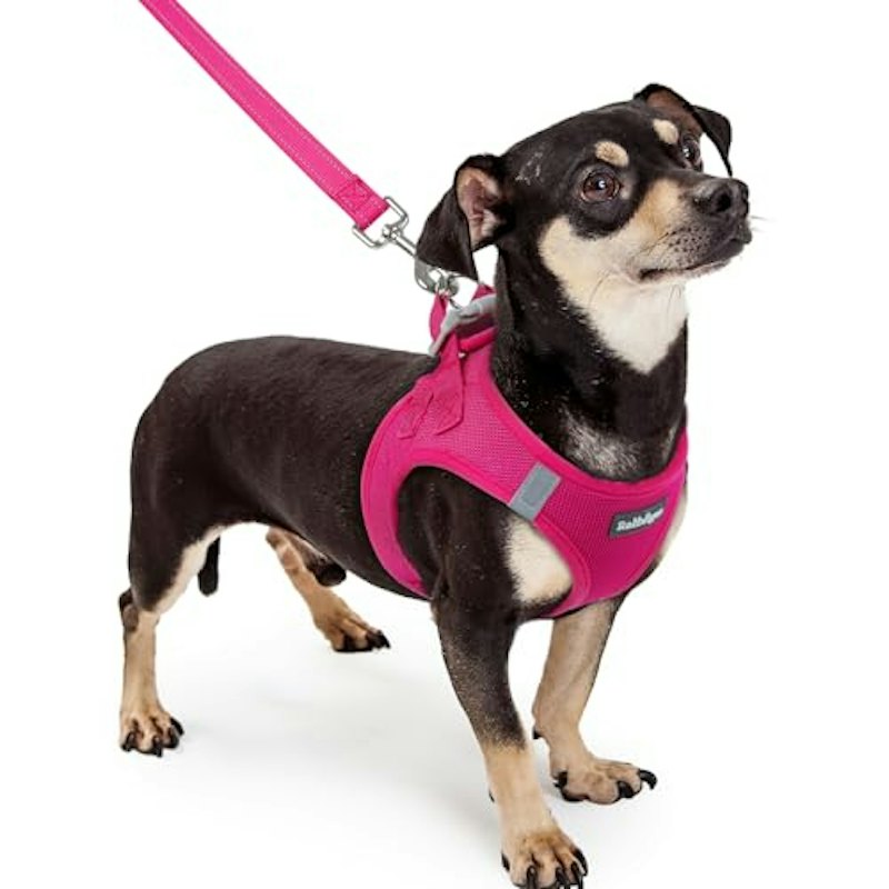 犬ハーネス リードセット 1