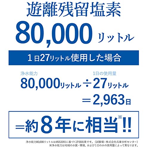 ビューク 8年タイプ 3