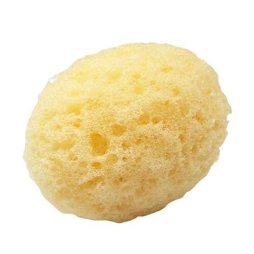 海綿スポンジのおすすめ人気ランキング【2025年12月】 | マイベスト