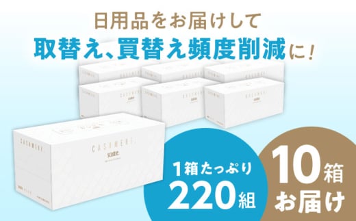 スコッティ カシミヤ 10箱 2