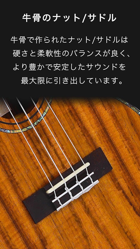 ウクレレ 7