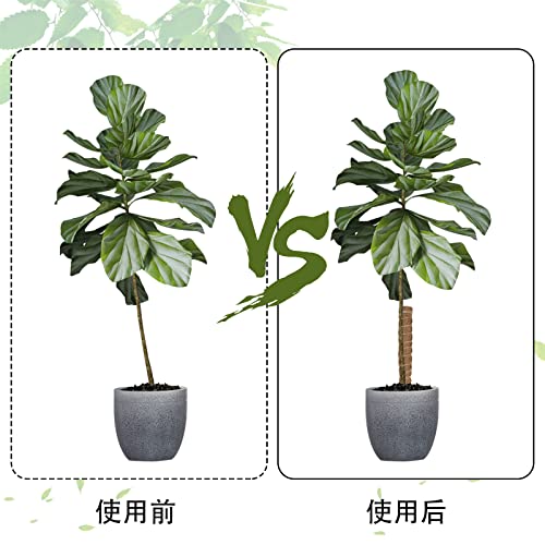 植物支柱 5