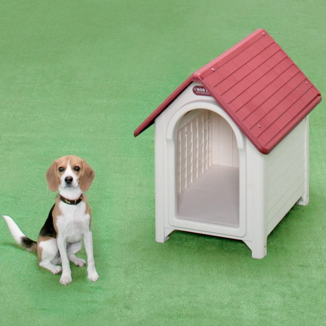 屋外用犬小屋のおすすめ人気ランキング10選 Mybest 屋外用犬小屋のおすすめ人気ランキング10選 Mybest