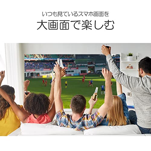 ミラーリングケーブル 4