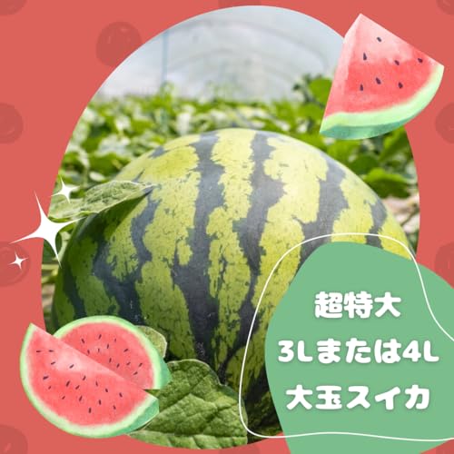 特大すいか 3