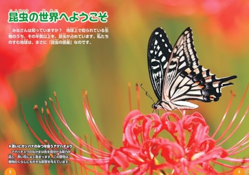 昆虫のクイズ図鑑 2