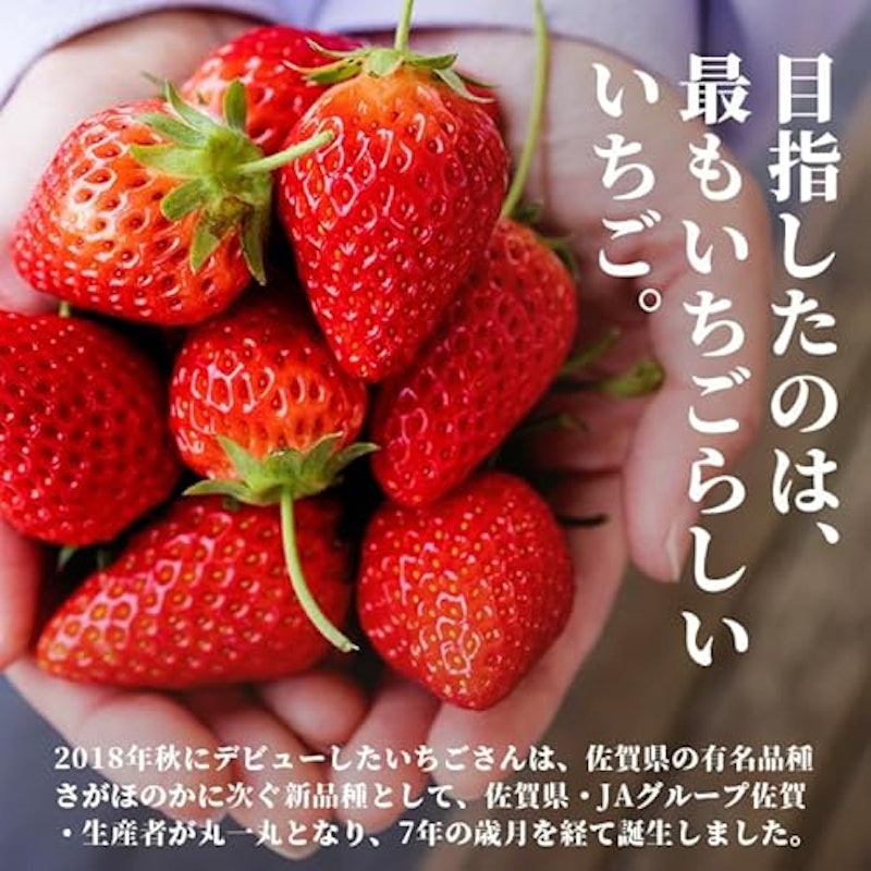 いちごさん 3