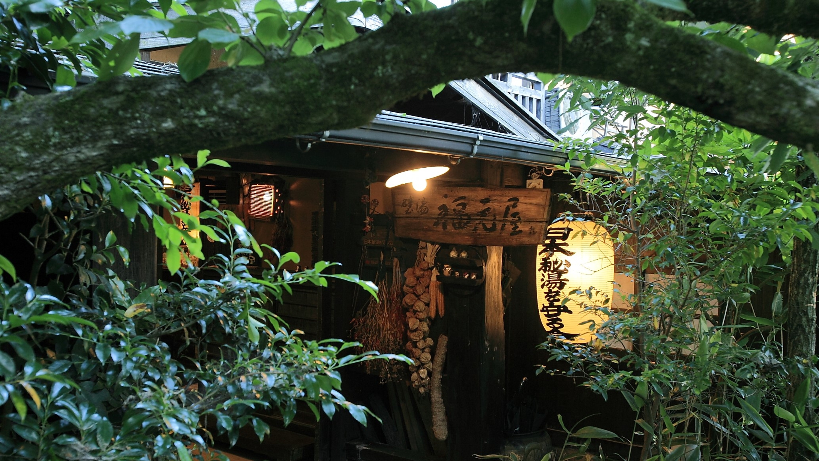 壁湯天然洞窟温泉 旅館 福元屋 1