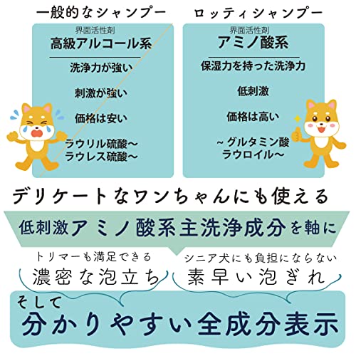 ロッティ 6