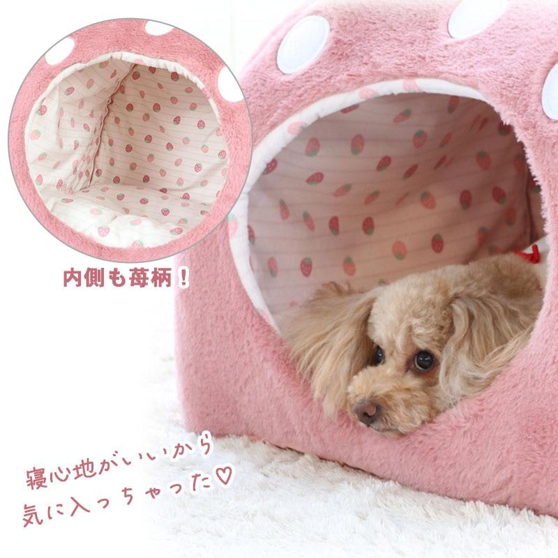 くすみ苺 ハウス 3