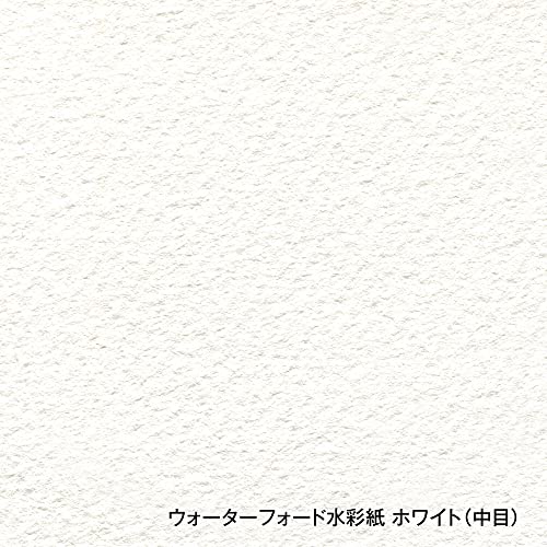 ウォーターフォード ホワイト 細目 A4パッド 2