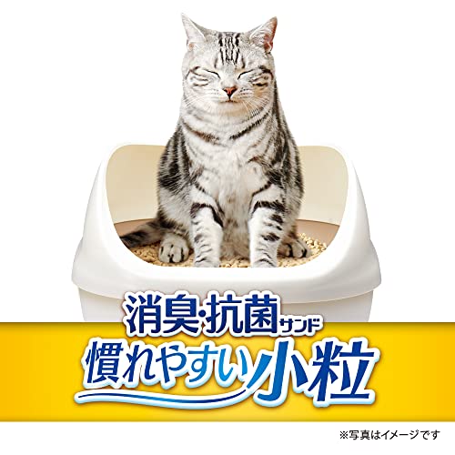  消臭・抗菌サンド 小粒  3
