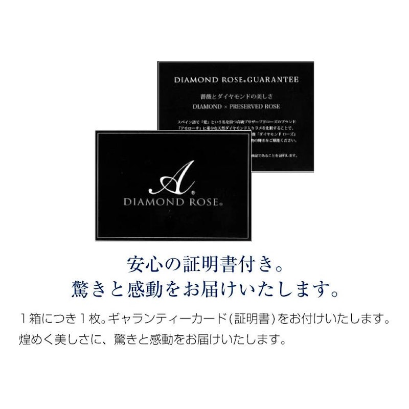 シルバーリング 5