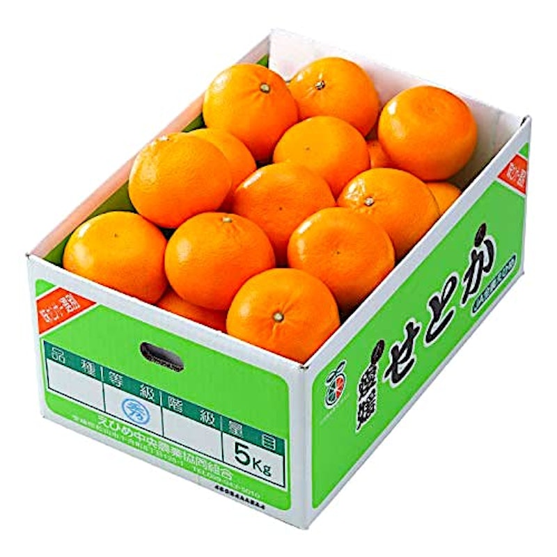 せとか 3