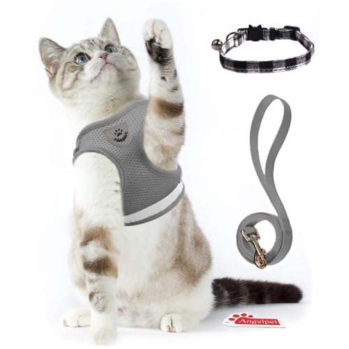 猫用ハーネス 胴輪 1