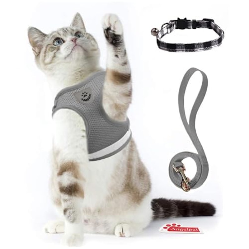 猫用ハーネス 胴輪 1