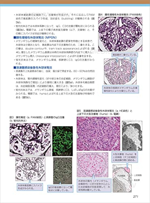 カラーイラストで学ぶ 集中講義 生化学 改訂2版 9