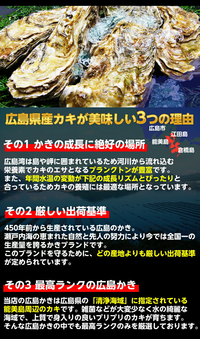  ジャンボ広島カキ 9