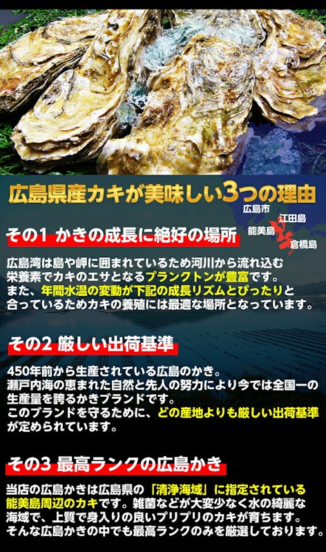 ジャンボ広島カキ 9