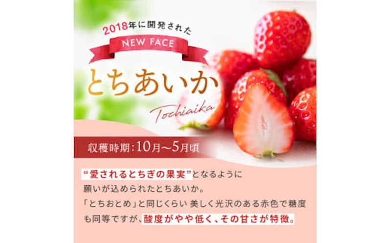 とちあいか 5