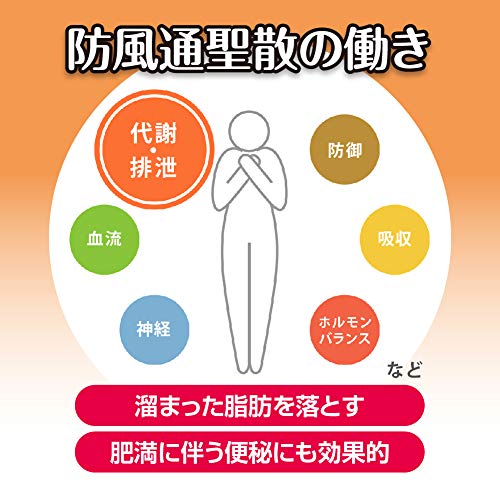 新・ロート防風通聖散錠T 4