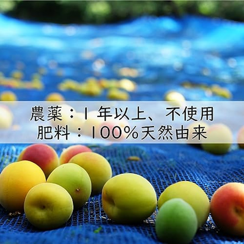 紀州南高梅 訳あり梅 8