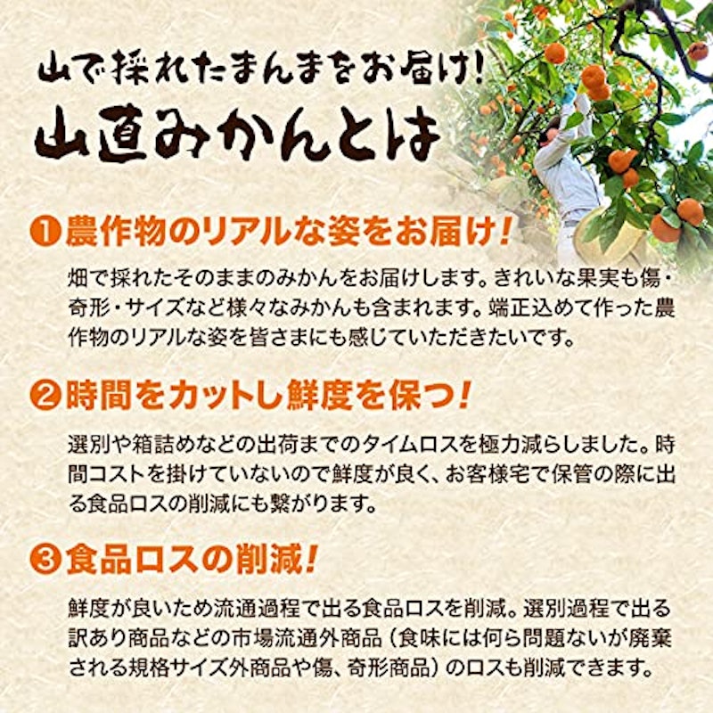 有田みかん 3
