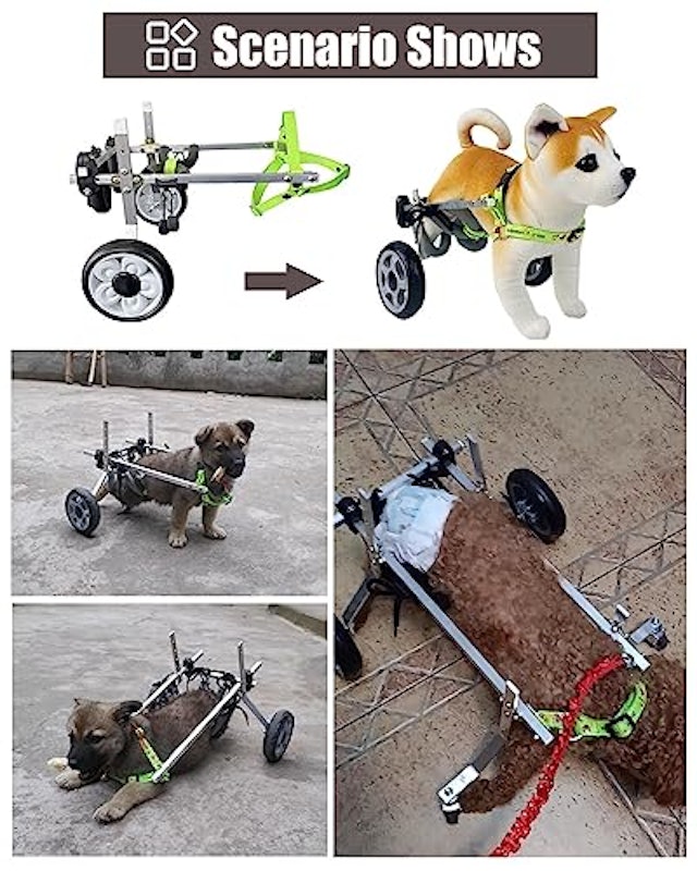 犬用車椅子 2