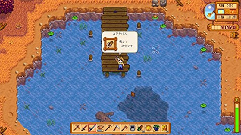 Stardew Valley 6